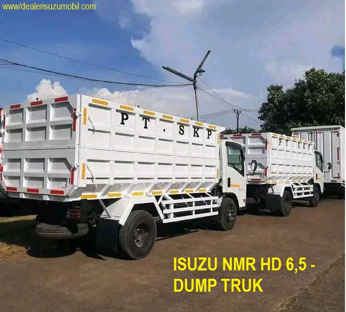 DUMP TRUK 10 KUBIK ISUZU NMR HD 65 DUMP TRUK 10 KUBIK ISUZU NMR HD 65