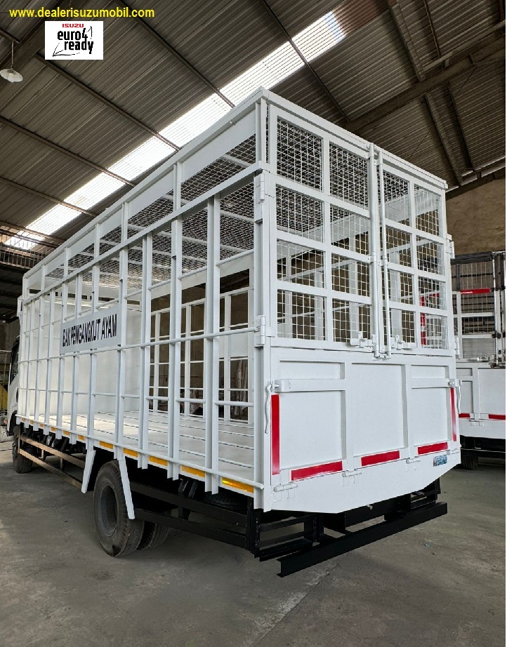 TRUK ANGKUTAN AYAM JUMBO ISUZU NMR 6 BAN TRUK ANGKUTAN AYAM JUMBO ISUZU NMR 6 BAN