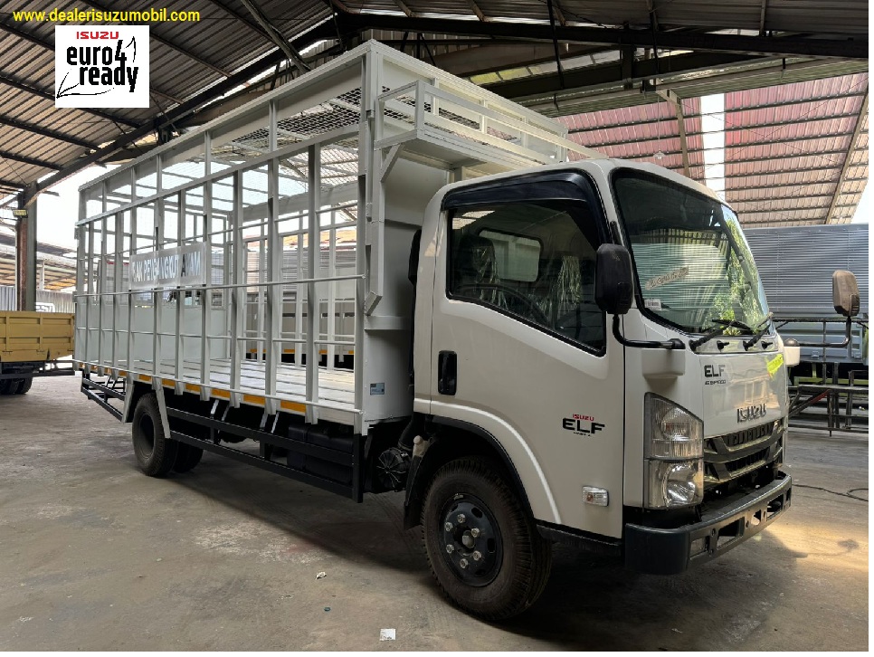 Truk angkutan Ayam isuzu nmr 6 ban