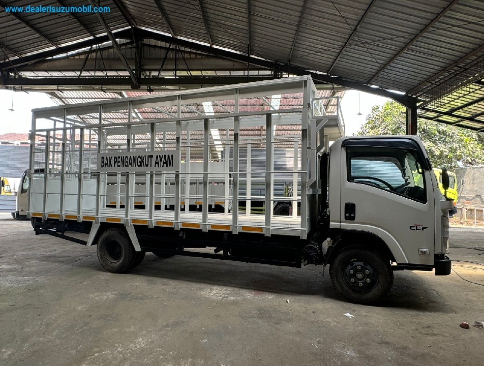 TRUK BAK AYAM ISUZU NMR 6 BAN TRUK BAK AYAM ISUZU NMR 6 BAN